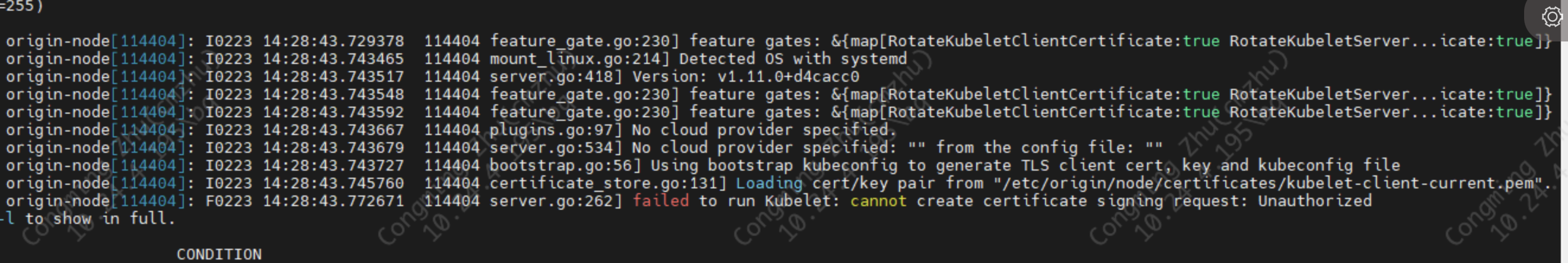 image-20240223144540419