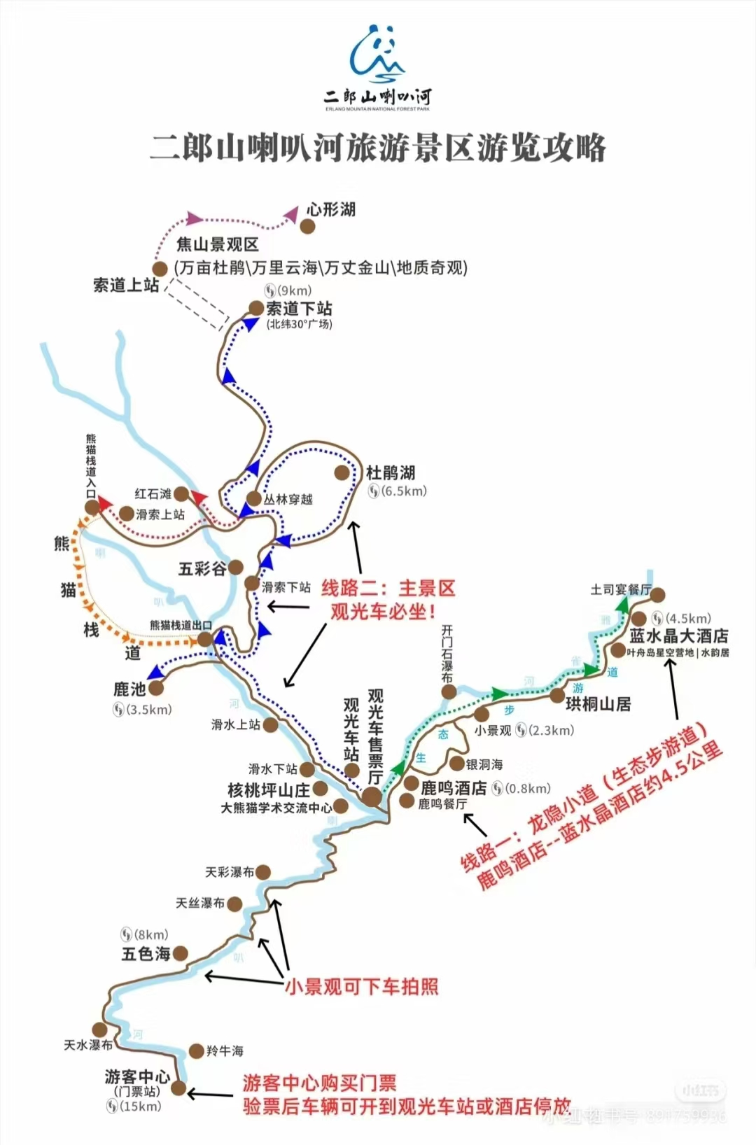 image-20241103195834033