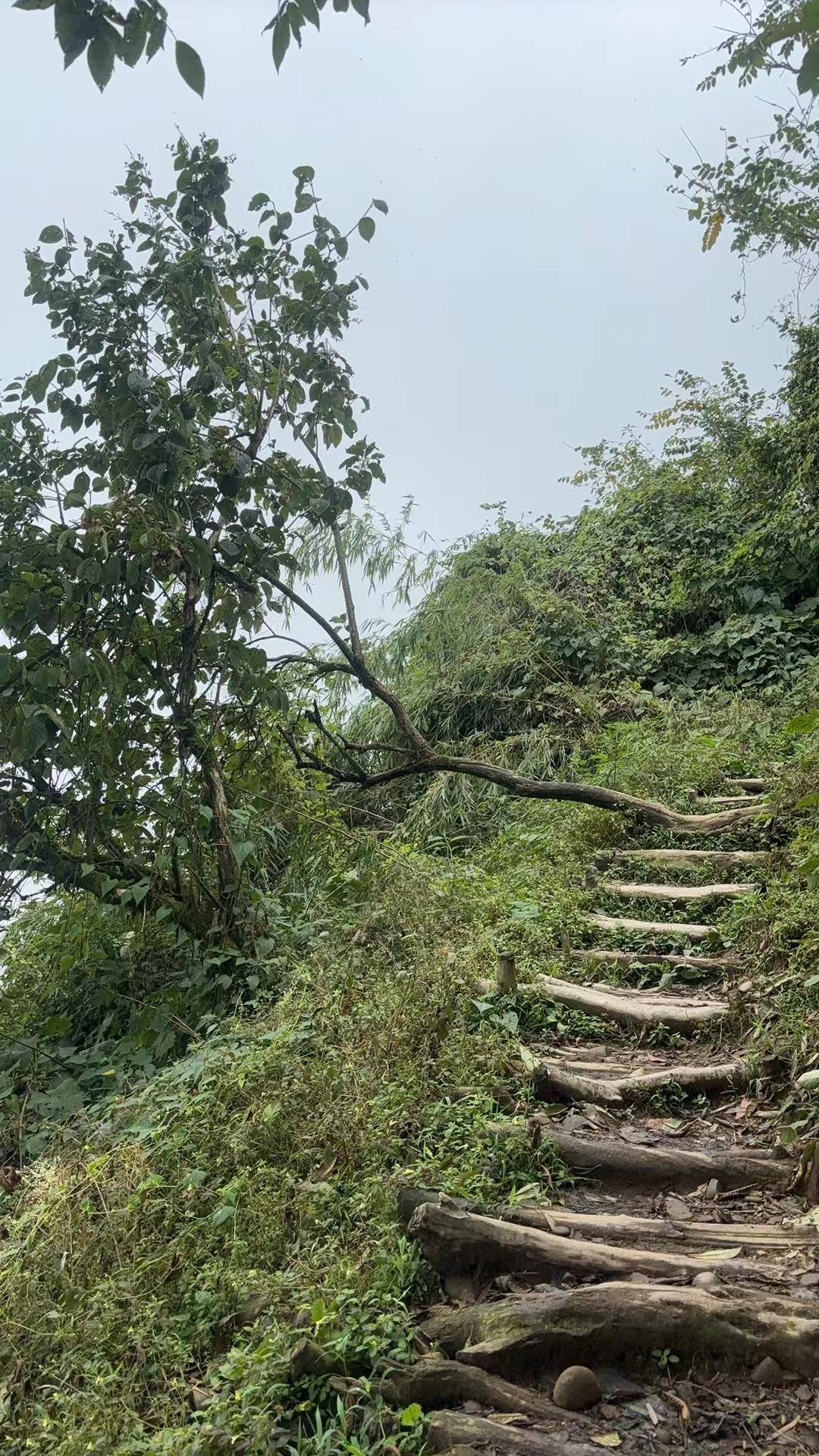 bc8c4e0ac2d6d0e65363a57d6c863a5